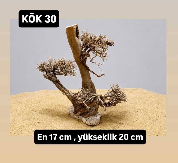 KÖK 30