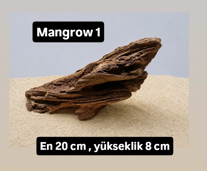 Mangrow 1