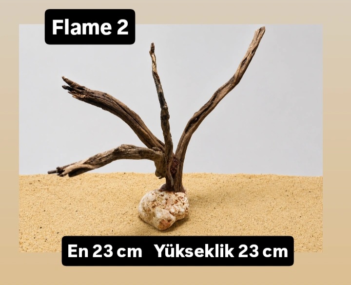 Flame 2