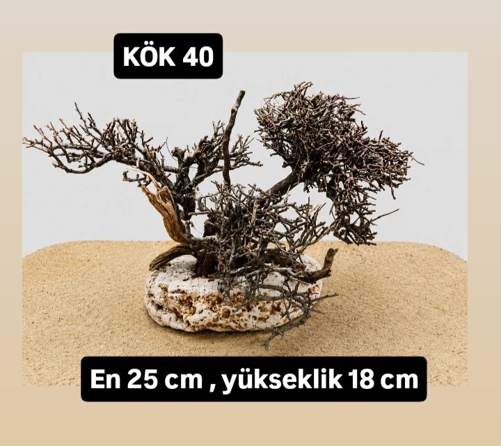 KÖK 40