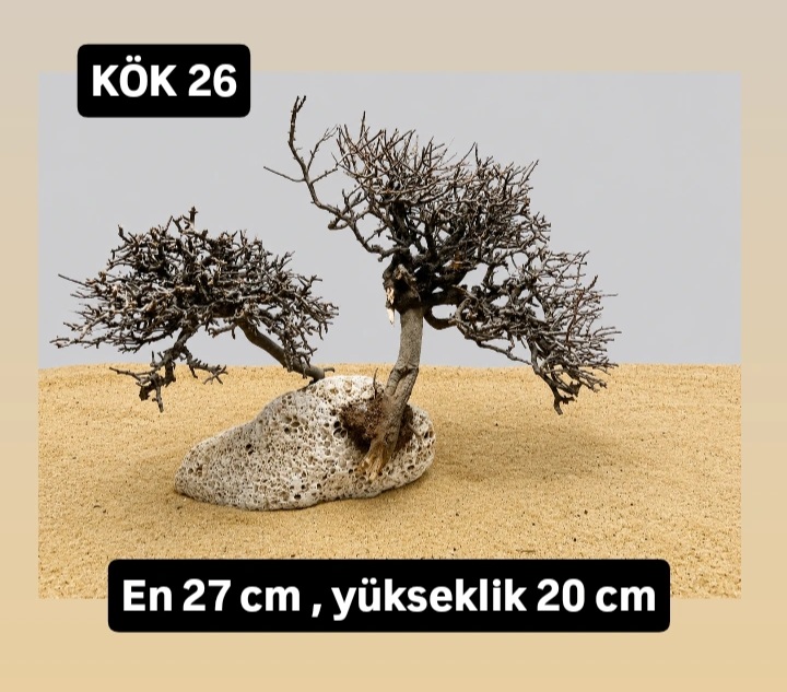 KÖK 26