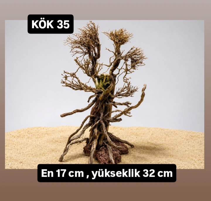 KÖK 35