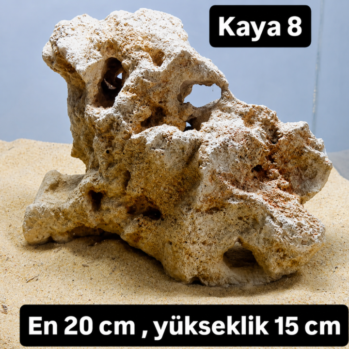 Kaya 8