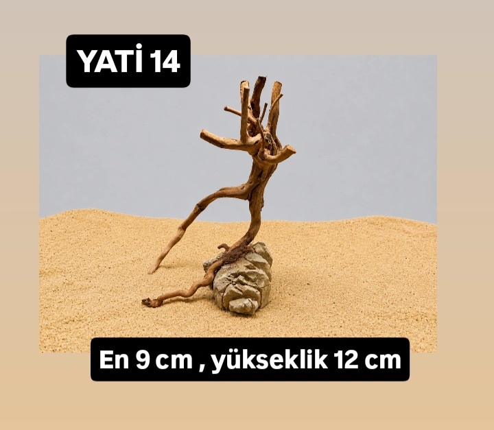Yati kok 14