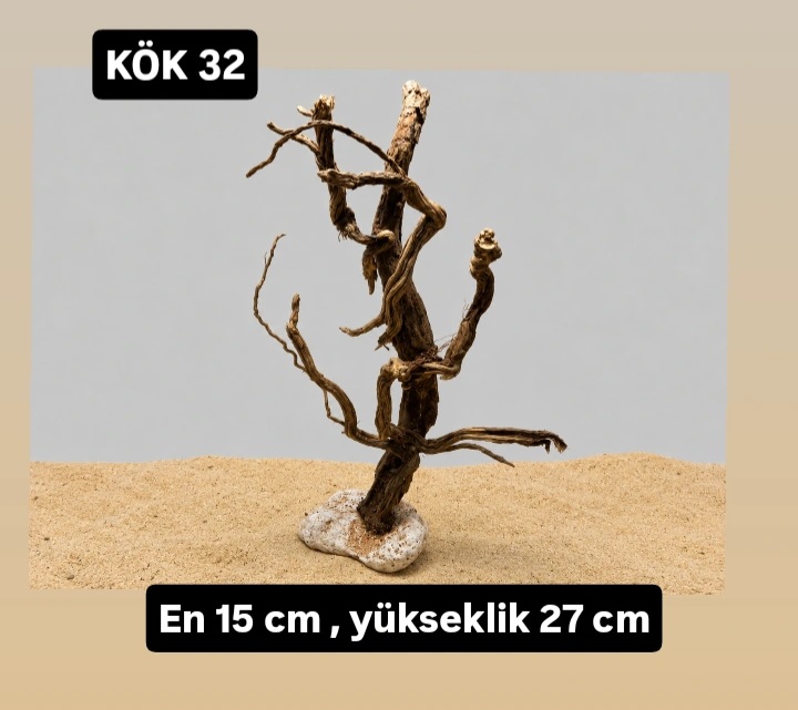 KÖK 32
