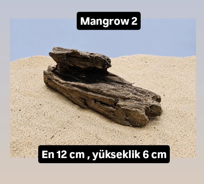 Mangrow 2