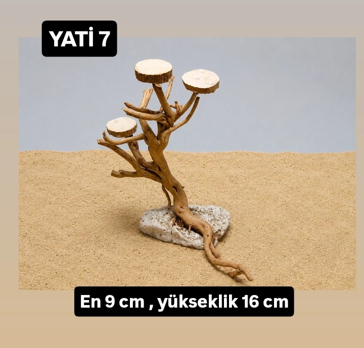 Yati kök 7