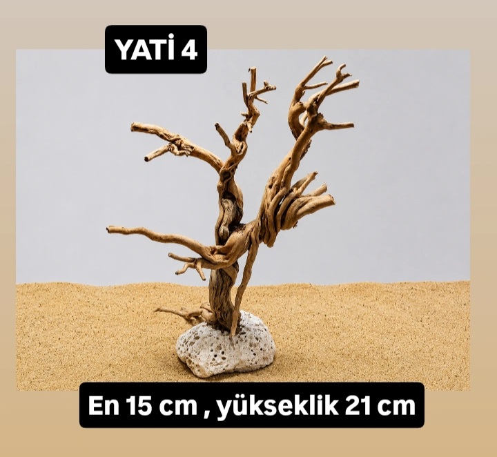 Yati kök 4