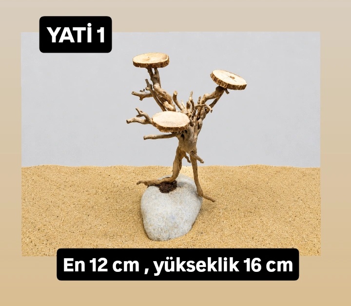 Yati kök 1
