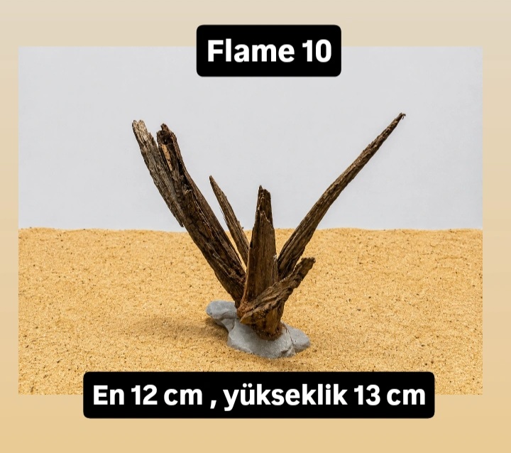Flame 10