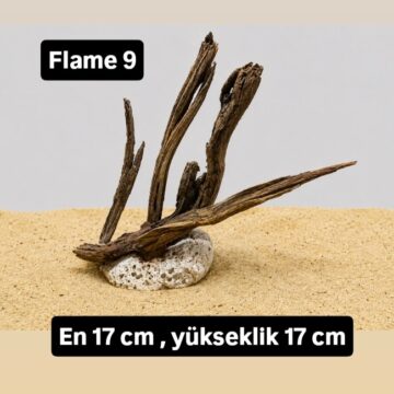 Akvaryum Kök — 2