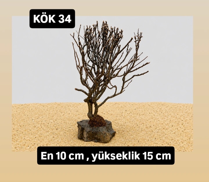 KÖK 34