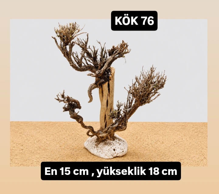 KÖK 76