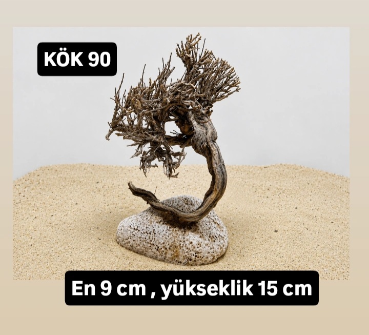 KÖK 90