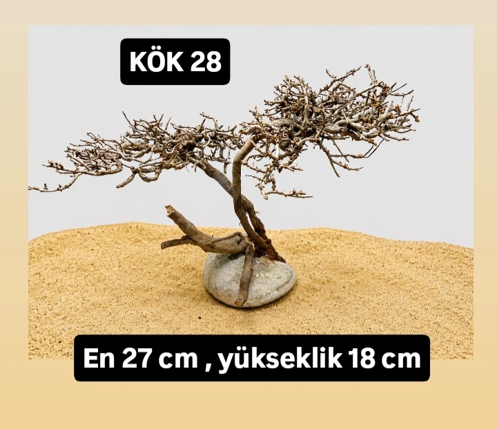 KÖK 28