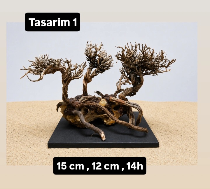 Tasarım 1