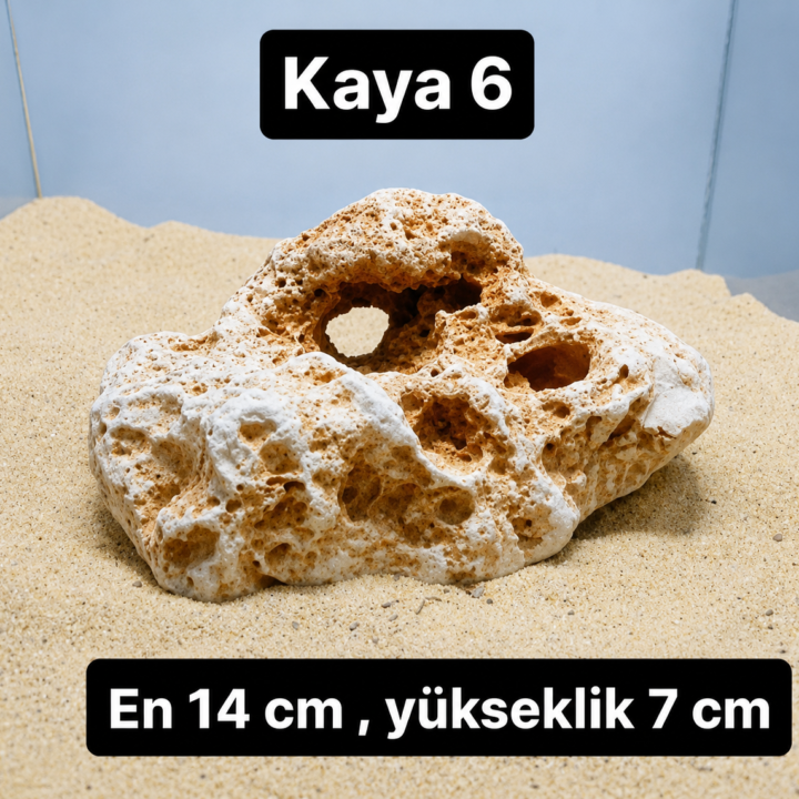 Kaya 6