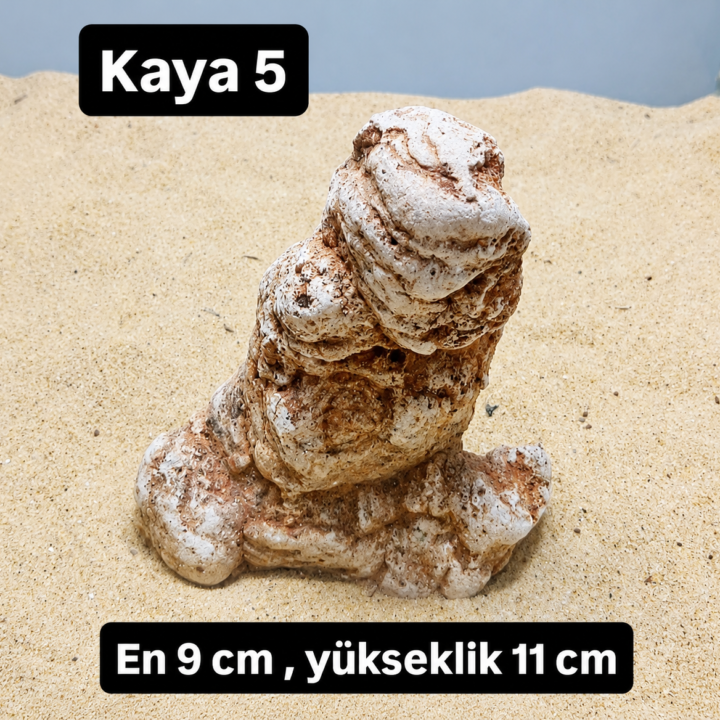 Kaya 5