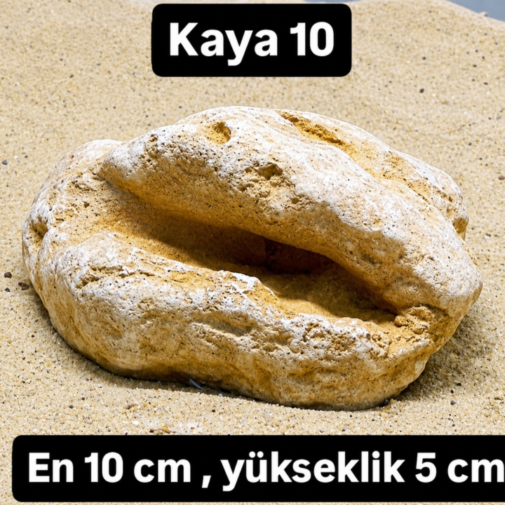 Kaya 10