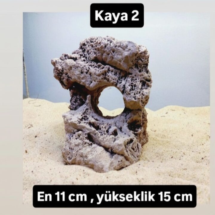 Kaya 2