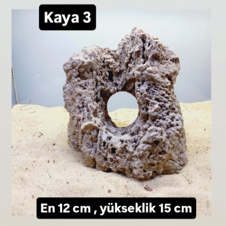 Kaya 3