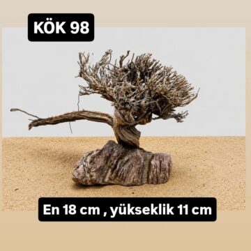 KÖK 98
