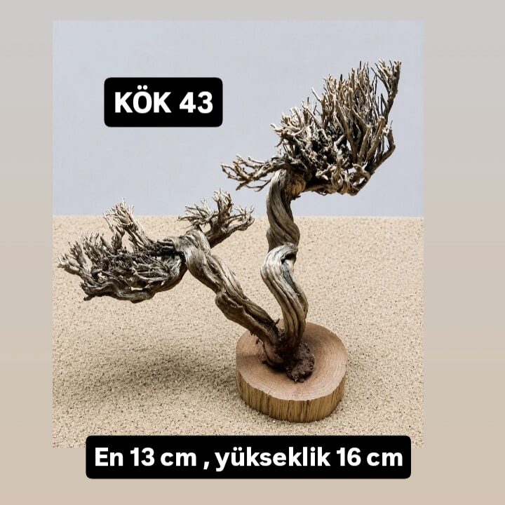 KÖK 43