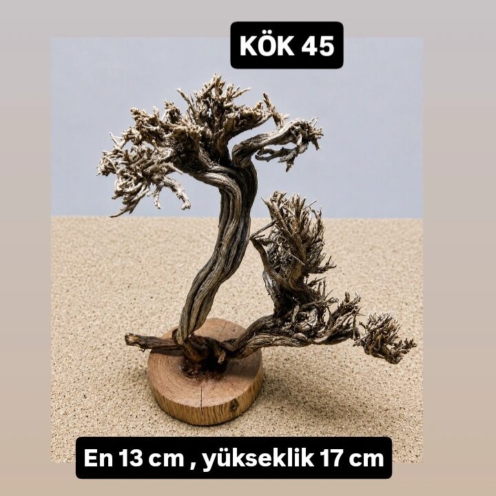 KÖK 45