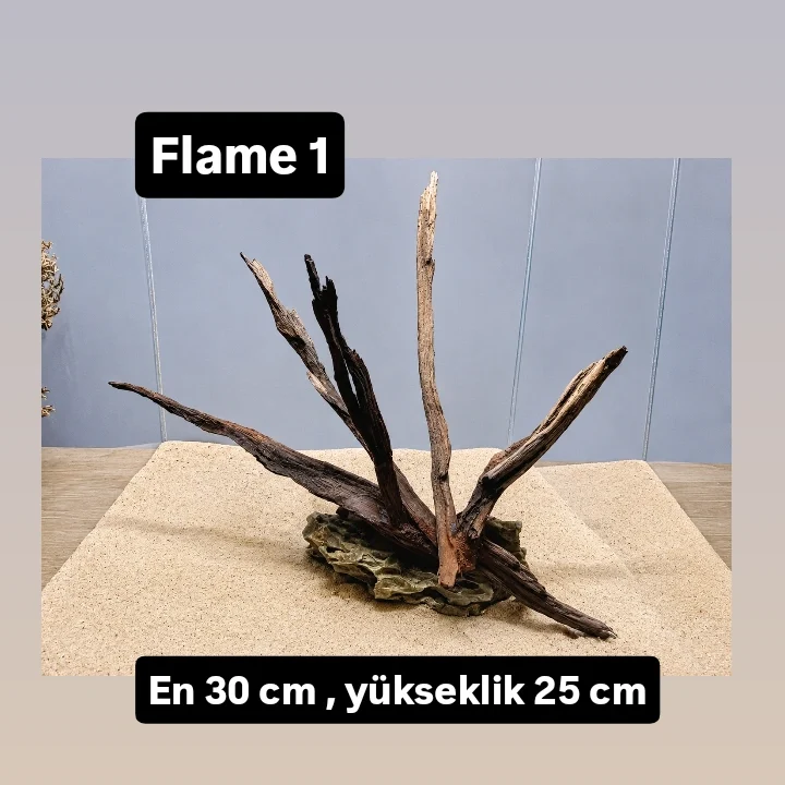 Flame 1