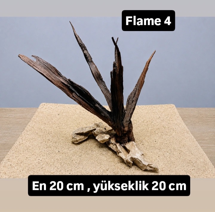 Flame 4
