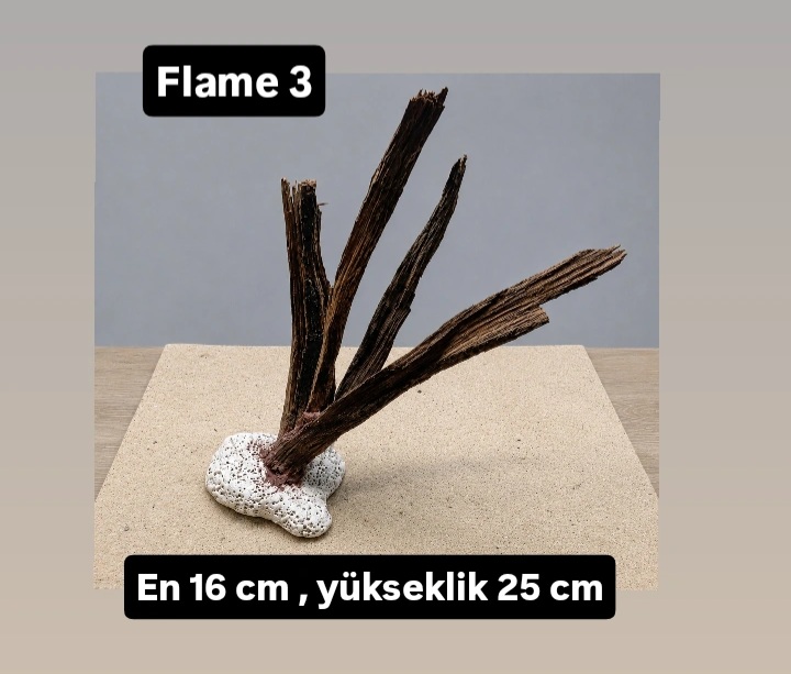 Flame 3