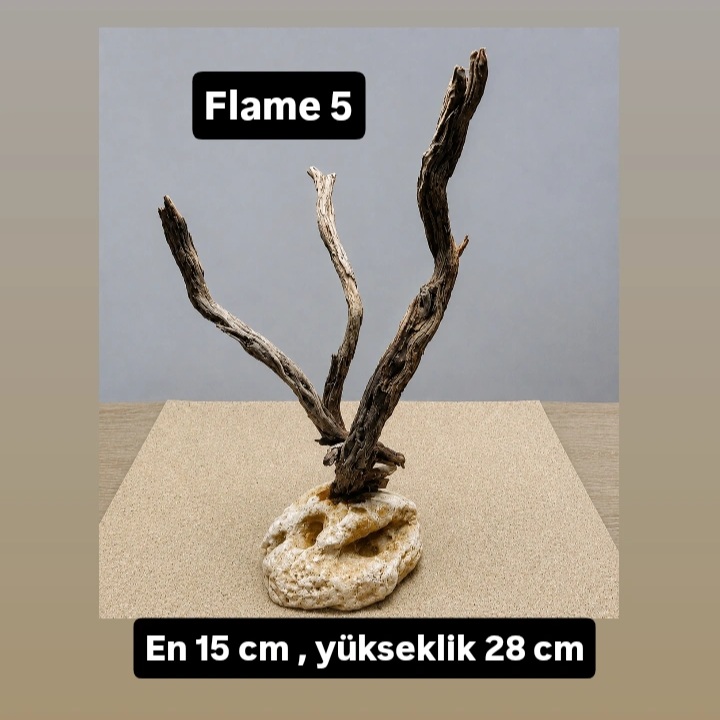 Flame 5