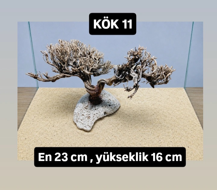 KÖK 11