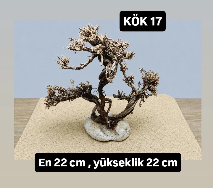KÖK 17
