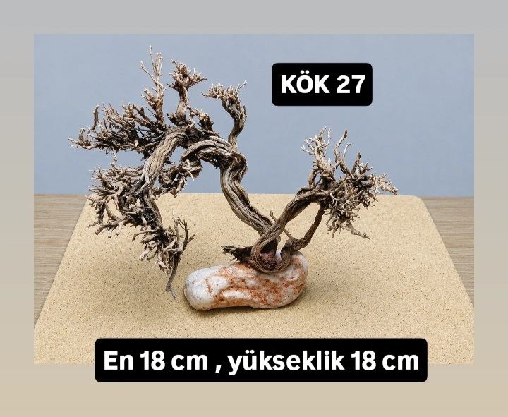 KÖK 27