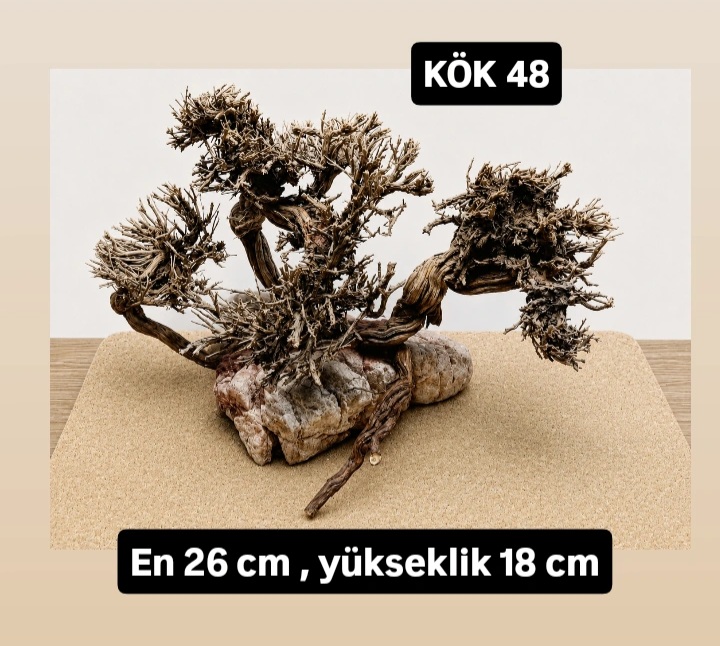 KÖK 48