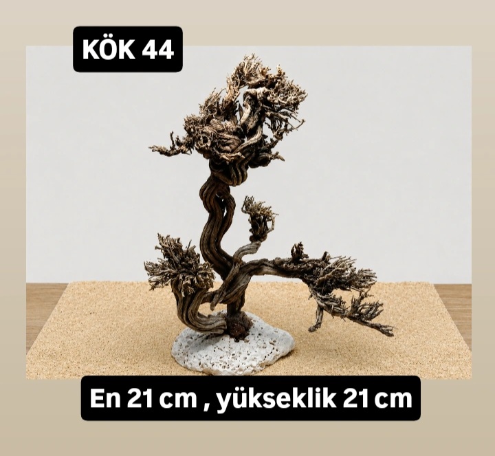 KÖK 44
