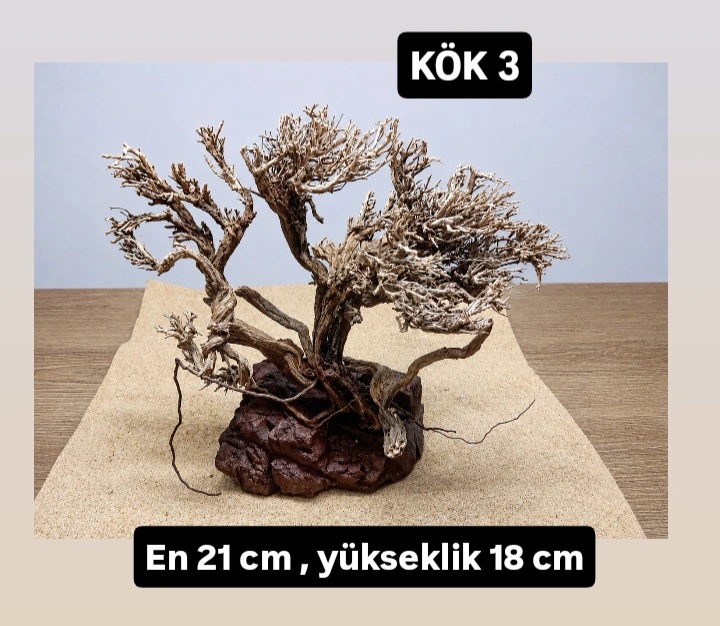 KÖK 3