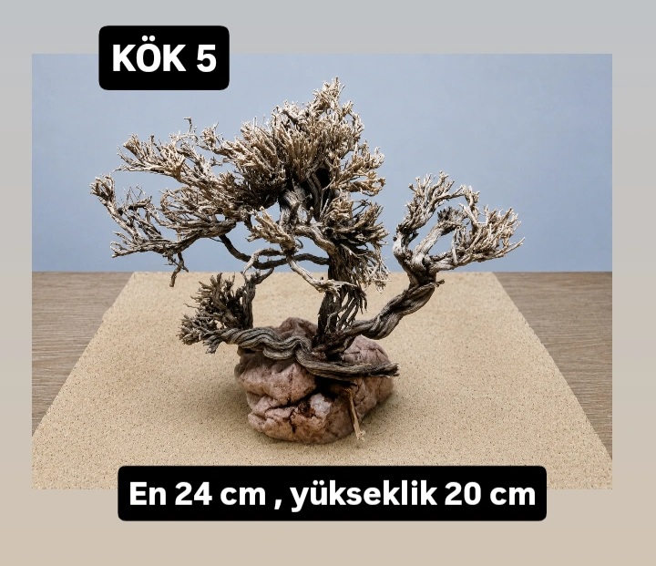 KÖK 5