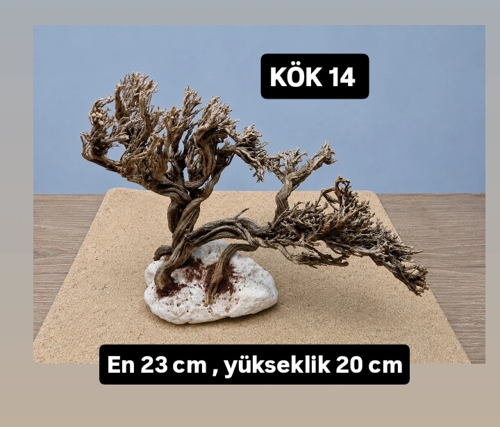 KÖK 14