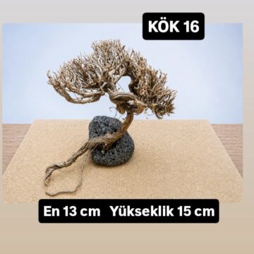 KÖK 16