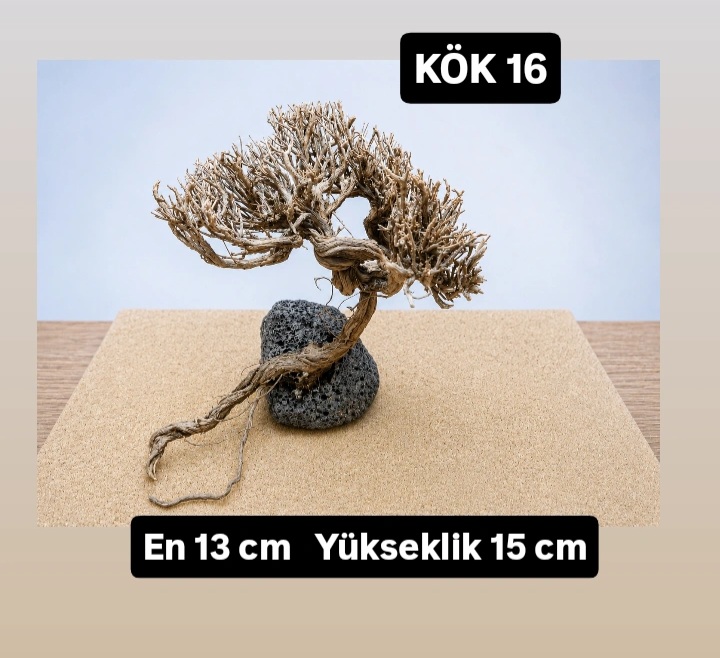 KÖK 16