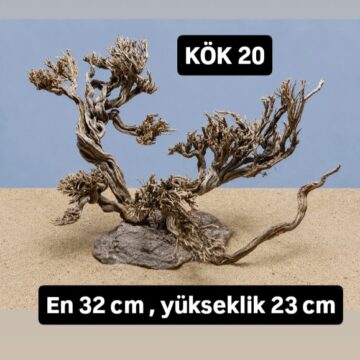 KÖK 20