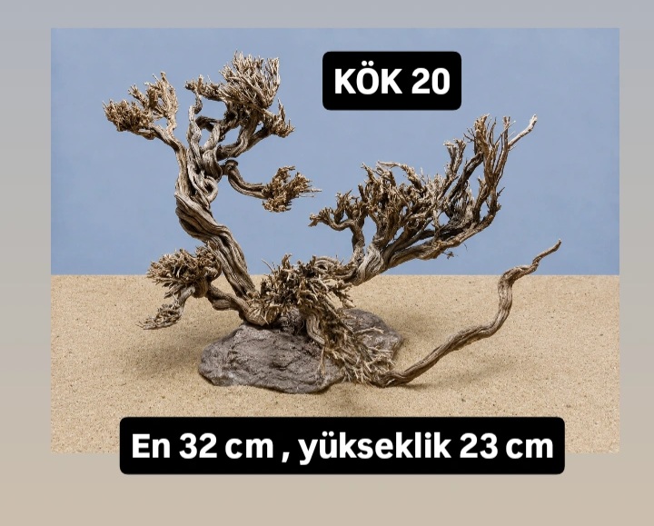 KÖK 20