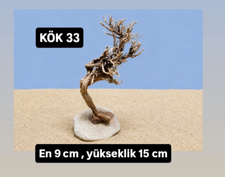 KÖK 33
