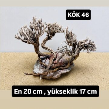 KÖK 46