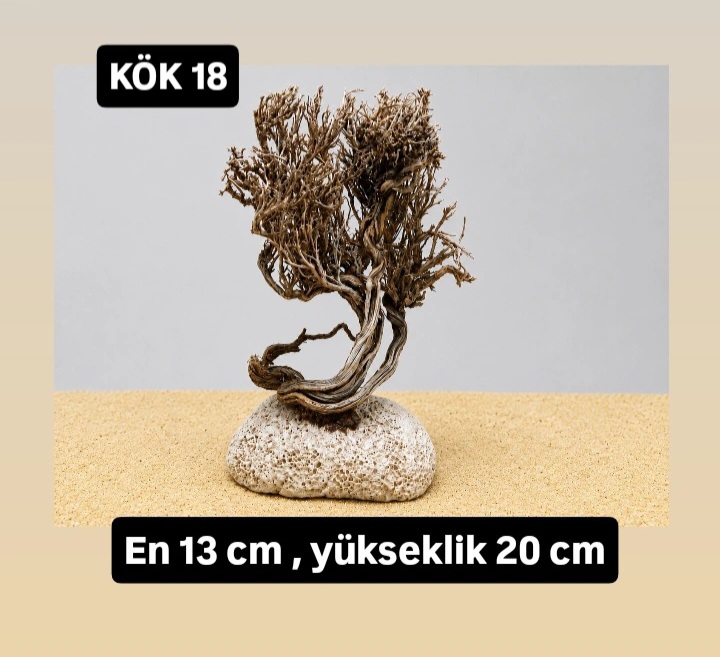 KÖK 18