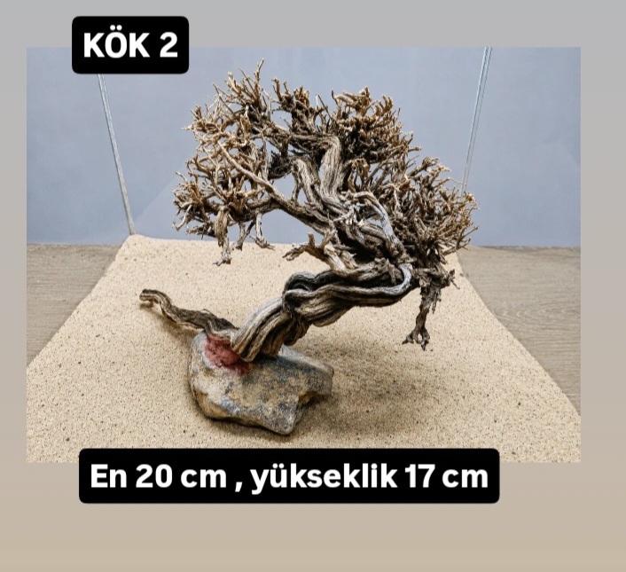 KÖK 2