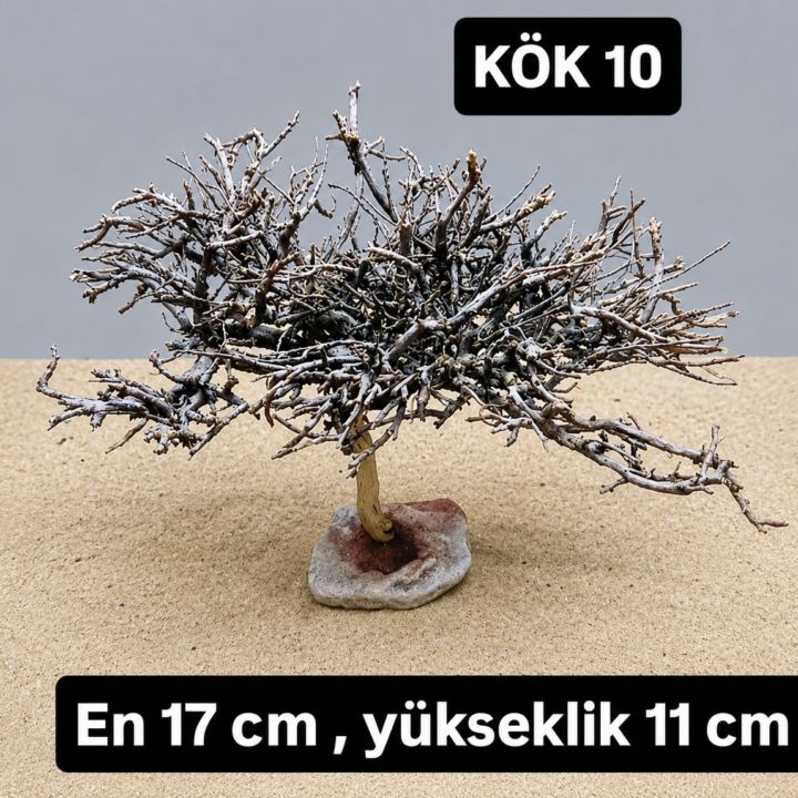 KÖK 10