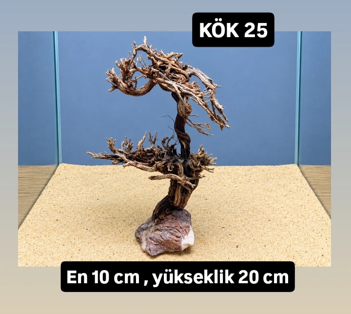 KÖK 25